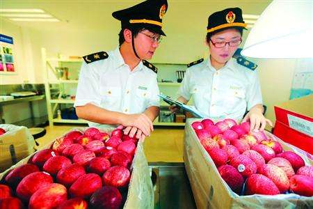 青島港進口新鮮水果代理報關行